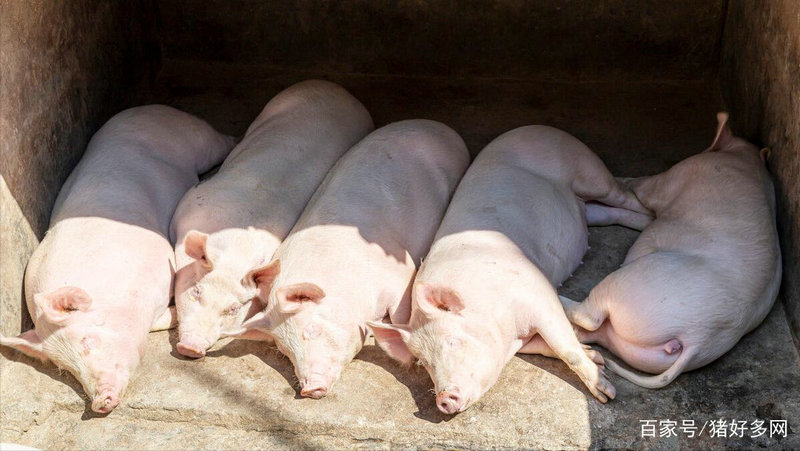 右双眼皮左单眼皮面相 右双眼皮左单眼皮面相