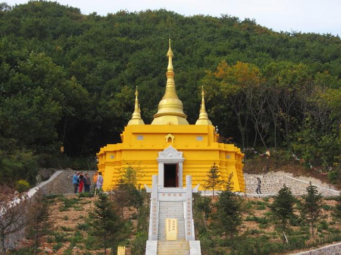 车牌464吉凶是否会影响戊寅年出生者的运势和生活质量让人忧虑吗 车牌464吉凶是否会影响戊寅年出生者的运势和生活质量让人忧虑吗