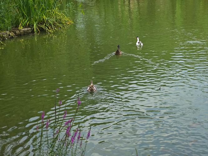 看财运准不准的软件 看财运准不准的软件