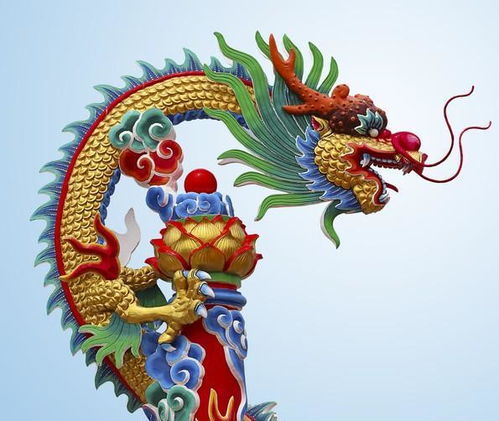 1988年属龙大林木命好不好 大林木命好不好