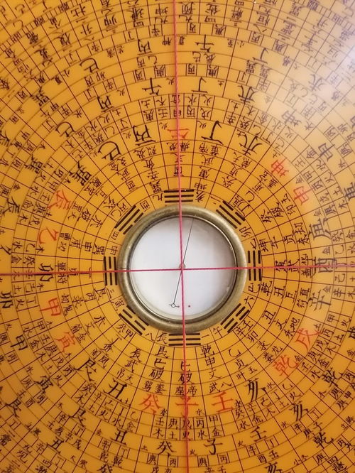 别墅大门口朝向风水怎么样 别墅大门口两侧栽什么好 别墅大门口朝向风水怎么样 别墅大门口两侧栽什么好