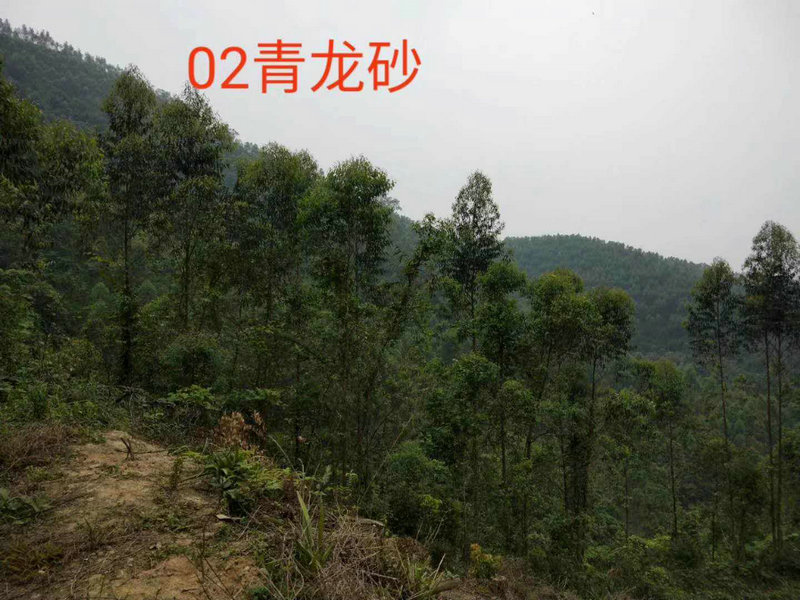 会翻转的动物是什么生肖 能翻转的动物是什么生肖是什么意思? 会翻转的动物是什么生肖 能翻转的动物是什么生肖是什么意思?