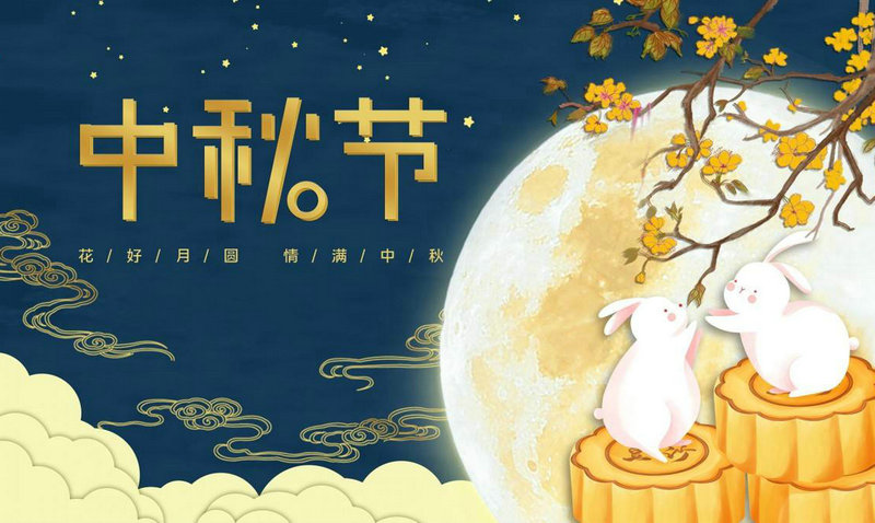 罗盘导航指引，精准定位如何生活