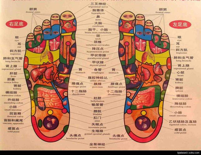 如何运用罗盘进行地形分析 如何运用罗盘进行地形分析