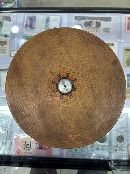 属虎女能抓住属龙男的心吗