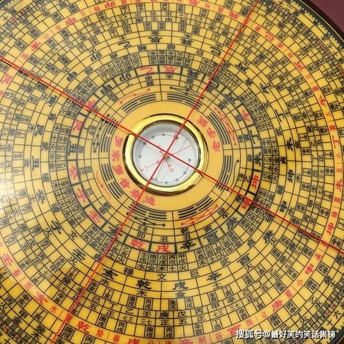 寿光金罗盘：如何正确使用与提高效益