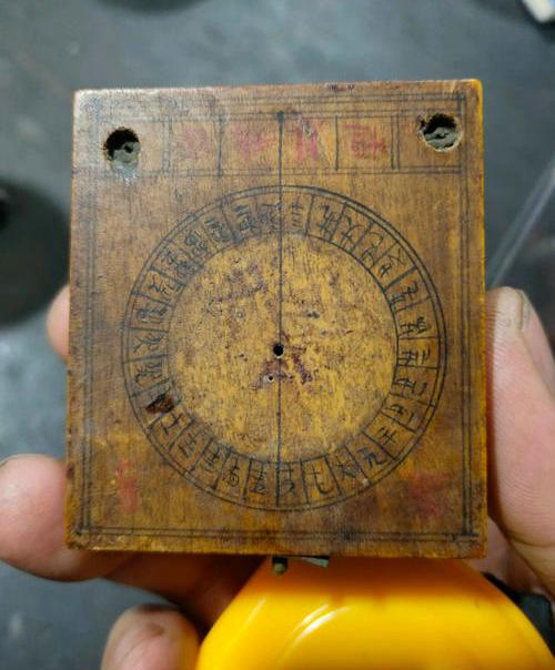 罗盘指向的神秘动物是什么