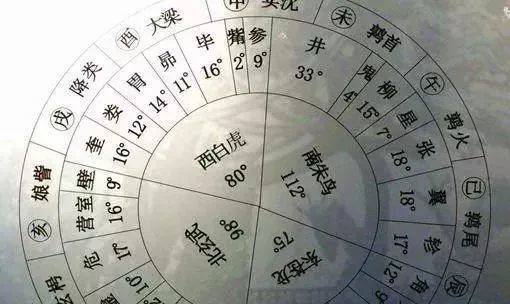 如何正确使用装针罗盘进行定位导航