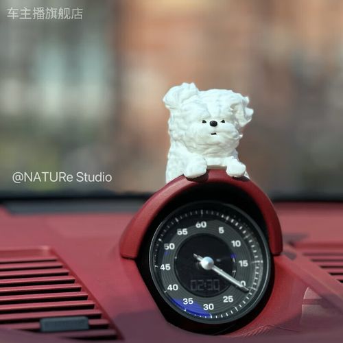 王立军为什么坐轮椅