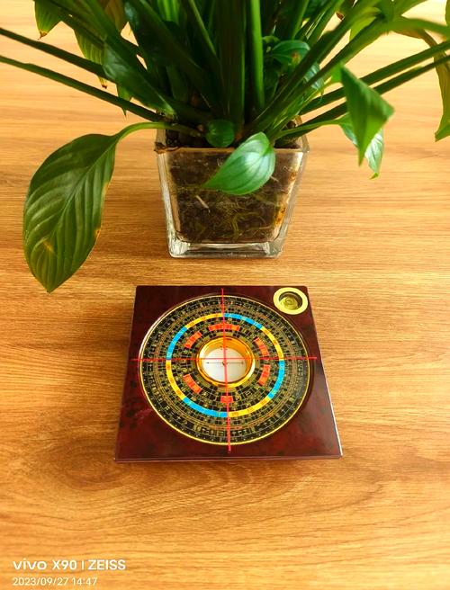 蜜蜂头部具有罗盘作用