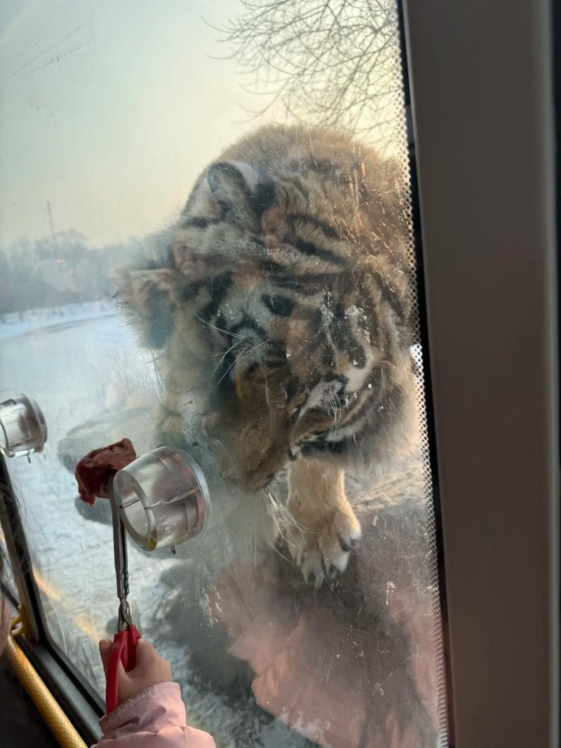 金牛3.15至3.31感情运势 金牛座的桃花运怎么样 金牛3.15至3.31感情运势 金牛座的桃花运怎么样