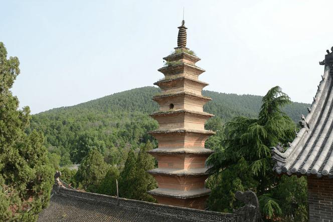 龙遇猪食无穷是什么意思 属猪男和属龙女相配 龙遇猪食无穷是什么意思 属猪男和属龙女相配