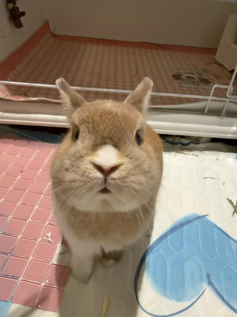 柳州大叔竹林挖蚯蚓 竟挖出近60斤重千年前大宝贝