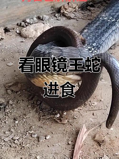 天秤座运势11月财运准吗 天秤座运势9月份财运