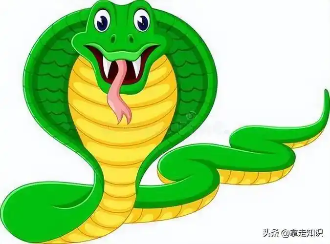 佛祖求签灵签解签全解_婚后家庭责任为何如此沉重(佛祖求签灵签解签全解_婚后