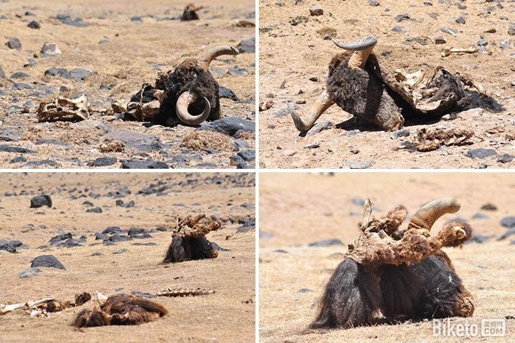 有关风水知识的书有哪些(六爻风水命理书籍)