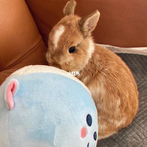 文王工艺罗盘图片大全