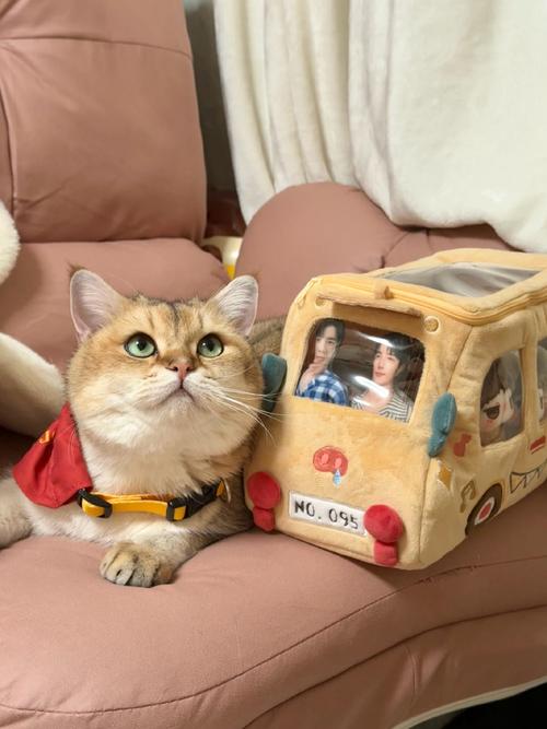 台山公司风水布局