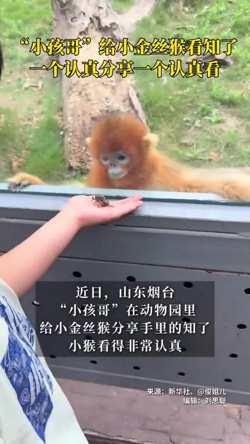 属鼠的人几日出生优秀