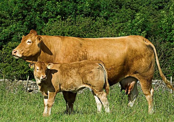 只看阴宅是什么意思 只看阴宅是什么意思