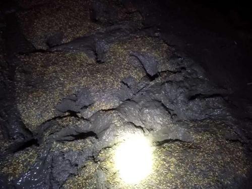 鸡年祝福的成语