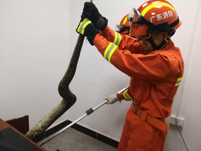 50岁以后有钱的手相是什么特征