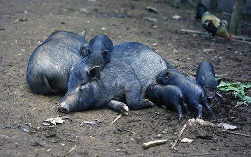 张萌称不好意思找王一博合影，那她晒出的照片