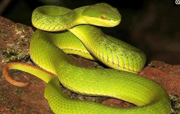 UG建模罗盘：如何高效使用UG软件进行三维