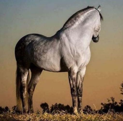 叠拼别墅上叠风水