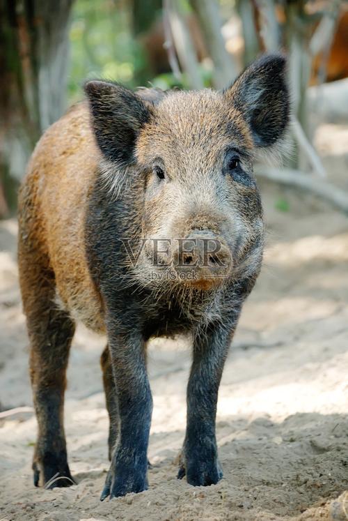 紫微斗数旬空力量大吗