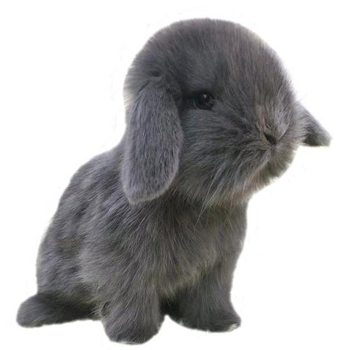 高层楼房风水你不知道的秘密