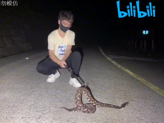 犯太岁之月收养孩子是否会带来不利影响(犯太岁之月收养孩子会带来怎样的影