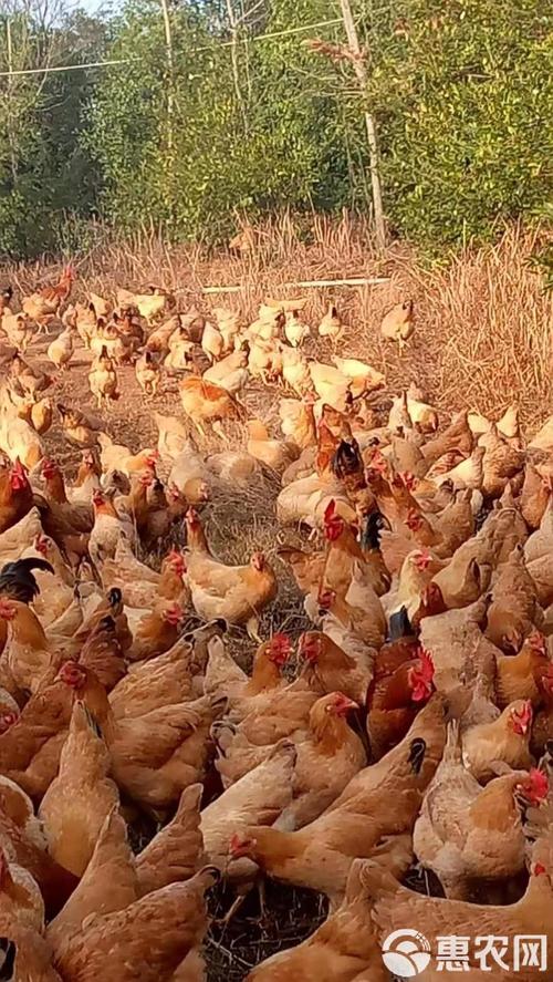 2025年9月属兔人的事业运势