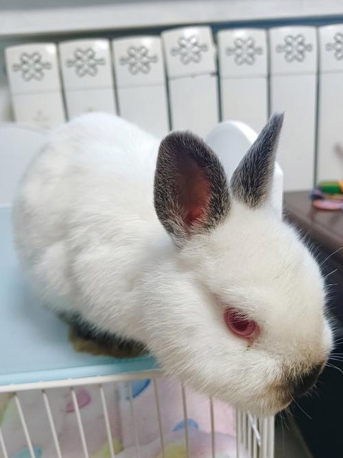 当天的五行穿衣什么色彩最好 (当天五行穿着)