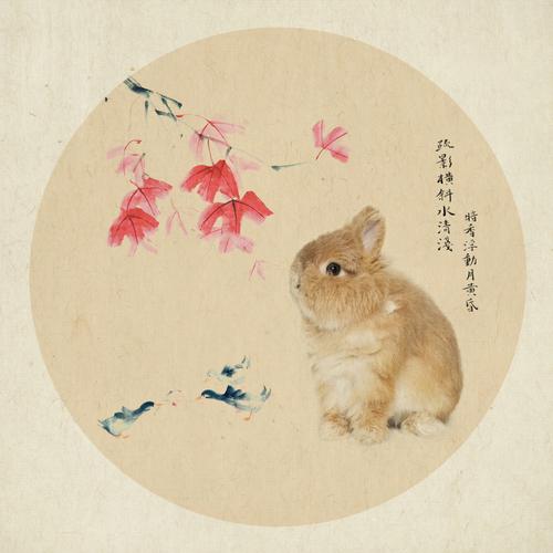 周公解梦梦见被打