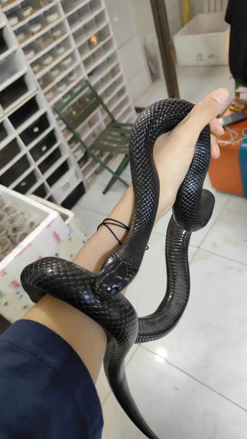 2023年兔年不宜添丁 2023兔好还是2024龙好