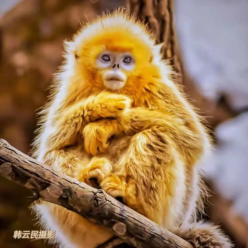 公司起名算法是否真的能影响企业的收入水平与忠诚度(公司起名算法是否能真