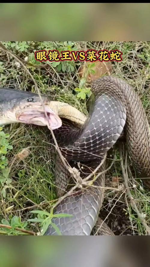 2025年9月22号出生男宝宝八字缺什么？生日密码如何？