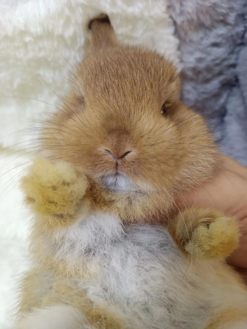 属蛇一生有几次婚 属蛇男人更佳妻子