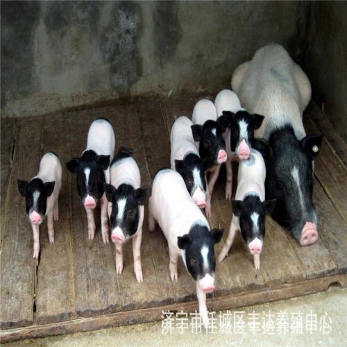 财神灵签一百_夫妻宫缘何不顺(财神灵签一百_夫妻宫的缘分如何成长) 财神灵签一百_夫妻宫缘何不顺(财神灵签一百_夫妻宫的缘分如何成长)