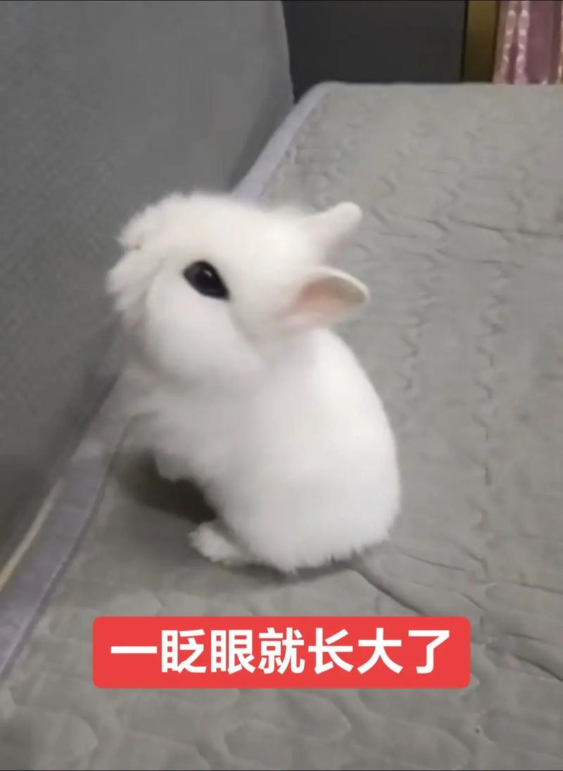 属猴与属虎相克吗 属虎妈和属猴儿子相克吗是什么意思？