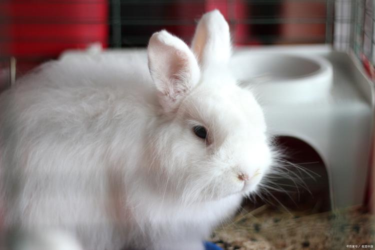 今日星座运势 星座运势 今日星座运势 星座运势