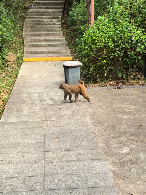 张杰前任段曦她曾嫌张杰穷提出分手,谢娜被 张杰前任段曦她曾嫌张杰穷提出分手,谢娜被