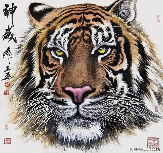 为什么田馥甄不接受林俊杰田馥甄为何一直拒