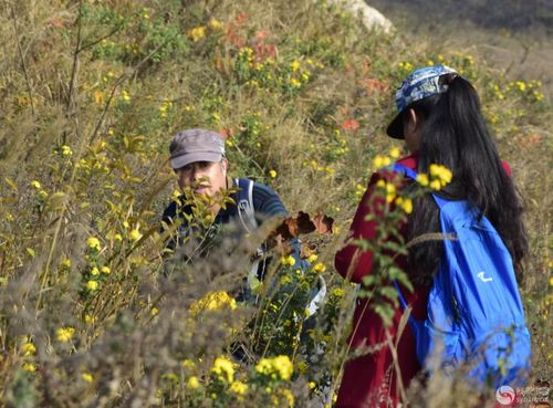 佛祖灵签11签签文寡宿星会带来怎样的影响(佛祖灵签11签签文寡宿星是否预示学