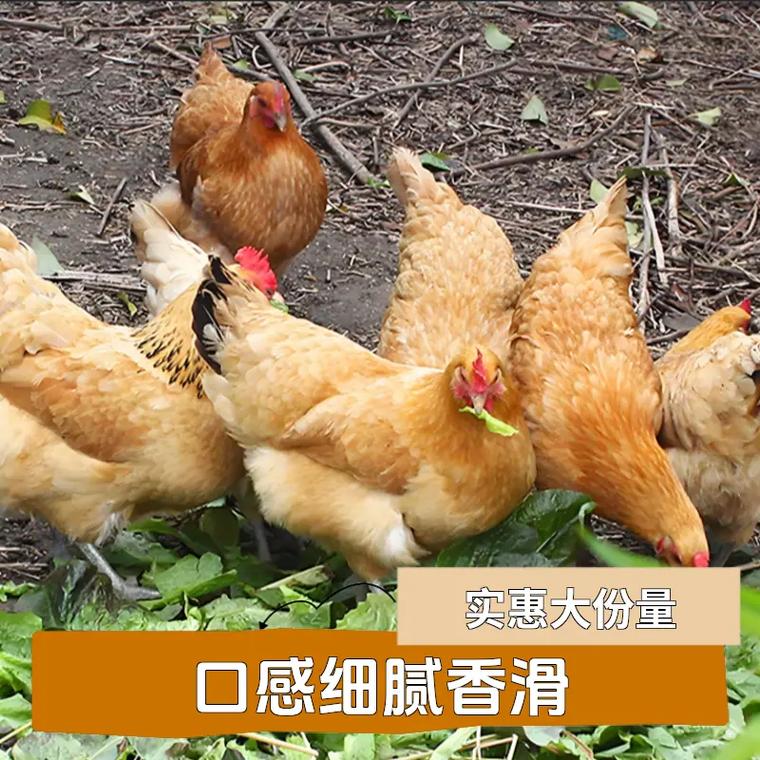 车牌光看尾号看吉凶对于己亥年份的车主有什么不吉利的隐患需要我们特别留意 车牌光看尾号看吉凶对于己亥年份的车主有什么不吉利的隐患需要我们特别留意