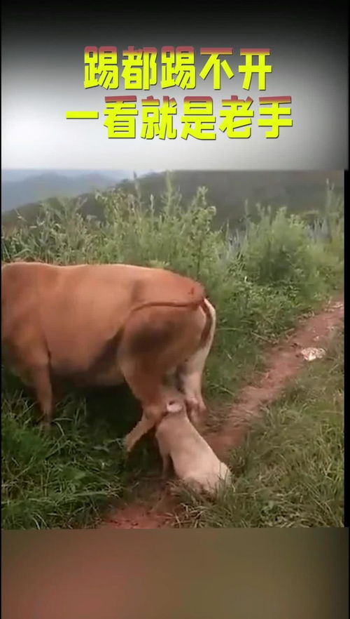 酒店风水布局要点