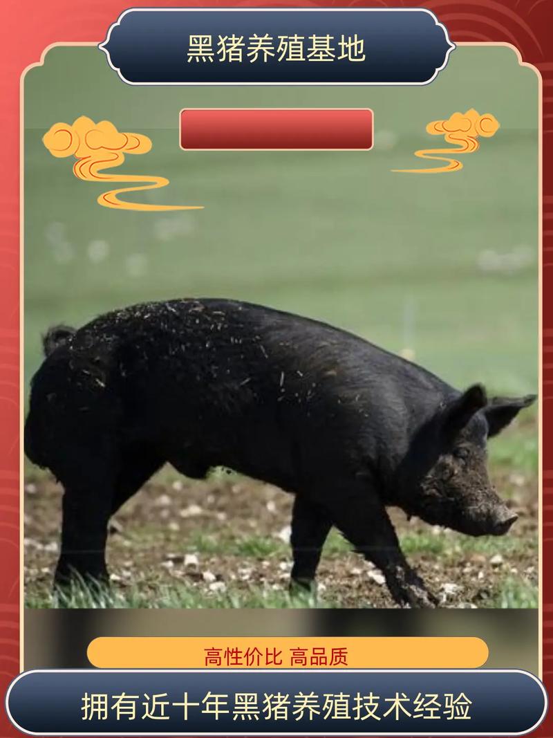 婚嫁八字配对,辛未年是否能遇见对的人?我的命格如何? 婚嫁八字配对,辛未年是否能遇见对的人?我的命格如何?