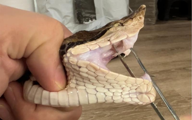 周易八卦测名字方法，请懂周易八卦的高手测个