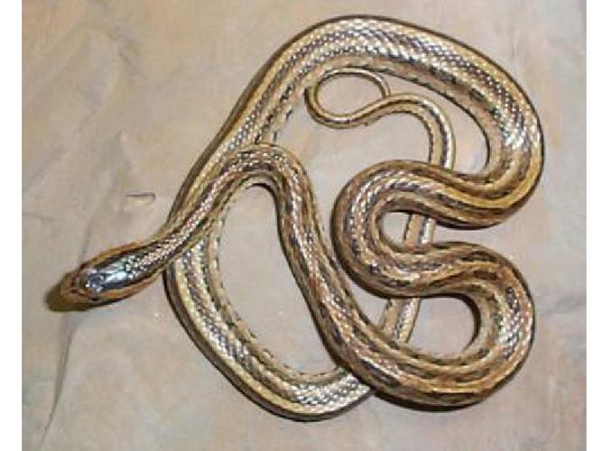 如何正确使用专业罗盘5.1版导航